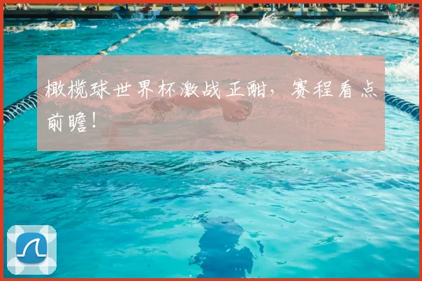 橄榄球世界杯激战正酣，赛程看点前瞻！